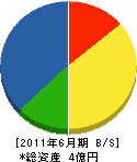 神田電気工事 貸借対照表 2011年6月期