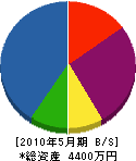 中崎電業社 貸借対照表 2010年5月期