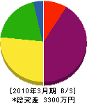 安城園 貸借対照表 2010年3月期 安城園 貸借対照表 2010年3月期