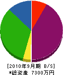 関野工務店 貸借対照表 2010年9月期