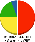 八木沢建設 貸借対照表 2009年12月期