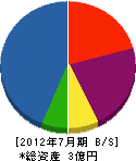 池田工務所 貸借対照表 2012年7月期