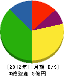 奥村電機 貸借対照表 2012年11月期