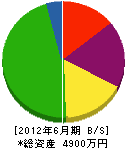 丸竹工業 貸借対照表 2012年6月期