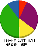 カタヤマ 貸借対照表 2009年12月期