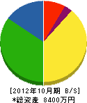 三栄電機工業 貸借対照表 2012年10月期
