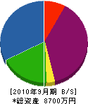 五十嵐設備 貸借対照表 2010年9月期