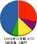 昭海建設 貸借対照表 2009年12月期