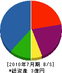 シンコウ設備 貸借対照表 2010年7月期