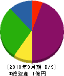 川島工業 貸借対照表 2010年9月期