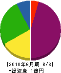 金田建材 貸借対照表 2010年6月期