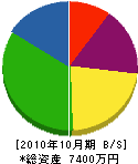 辻工業 貸借対照表 2010年10月期 辻工業 貸借対照表 2010年10月期