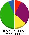 住美飯島塗装 貸借対照表 2008年8月期