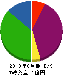 東洋工事 貸借対照表 2010年8月期 東洋工事 貸借対照表 2010年8月期