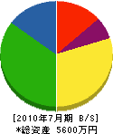 太田装美社 貸借対照表 2010年7月期