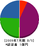 川内工業 貸借対照表 2009年7月期 川内工業 貸借対照表 2009年7月期