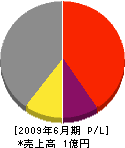 谷口建設 損益計算書 2009年6月期