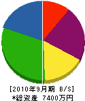 斉藤建設 貸借対照表 2010年9月期