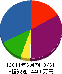 丸川電気工業 貸借対照表 2011年6月期
