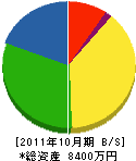 三栄電機工業 貸借対照表 2011年10月期