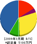藤井電工 貸借対照表 2009年3月期