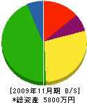 日景種苗園 貸借対照表 2009年11月期
