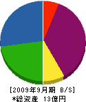 藤崎電機 貸借対照表 2009年9月期