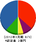 前川電気 貸借対照表 2012年3月期