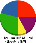 竹弘建設 貸借対照表 2009年10月期