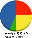 渡辺建設工業 貸借対照表 2010年12月期