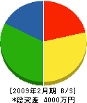 相川商事 貸借対照表 2009年2月期