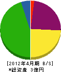 太田ガス事業（同） 貸借対照表 2012年4月期