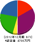 内田美装 貸借対照表 2012年12月期