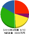 戸沢研装 貸借対照表 2010年4月期