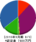 龍王建設 貸借対照表 2010年9月期