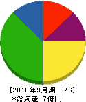 セイホウ 貸借対照表 2010年9月期