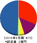 佐々木総業 貸借対照表 2010年6月期