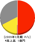 正和工業 損益計算書 2009年3月期