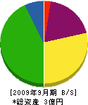 西日本電工社 貸借対照表 2009年9月期