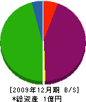 岩崎工務店 貸借対照表 2009年12月期