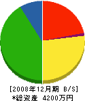 佐藤建具店 貸借対照表 2008年12月期