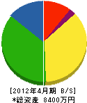 小柳津電機 貸借対照表 2012年4月期