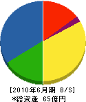 島根電工 貸借対照表 2010年6月期