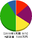 昭和水基 貸借対照表 2010年3月期