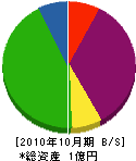 辻村塗装工業 貸借対照表 2010年10月期