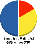 大川建築 貸借対照表 2009年12月期