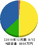 大澤造園 貸借対照表 2010年12月期