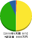 日本防水三島工業所 貸借対照表 2010年6月期