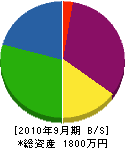 アトリエ久光 貸借対照表 2010年9月期