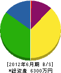 丸金橋本設備工機 貸借対照表 2012年6月期